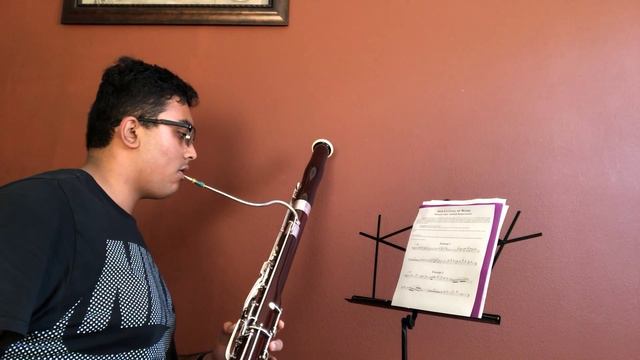 Festival of Winds 2018 Audition For Bassoon смотреть онлайн