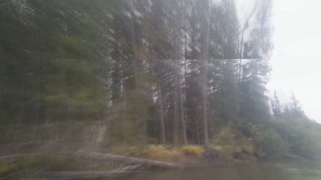тоджа 2020 смотреть онлайн