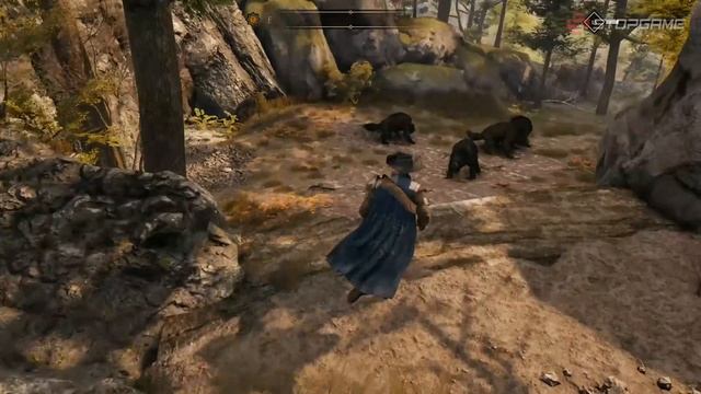 Обзор игры GreedFall