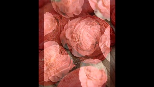 Sola Flowers _ Beautiful - Handmade смотреть онлайн