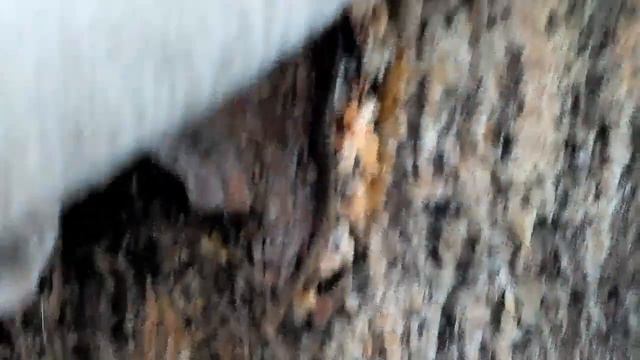 Где родился, там и пригодился. смотреть онлайн