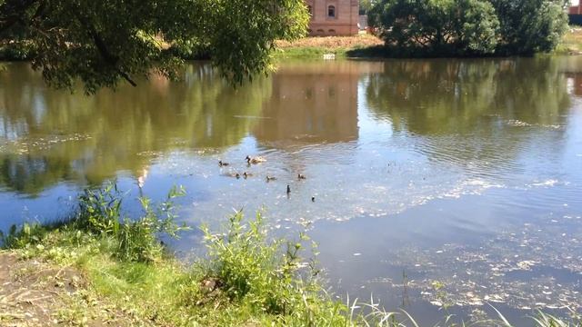 Белые столбы