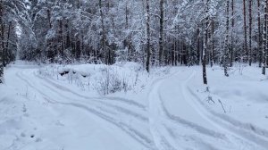 VOLVO XC60 SNOW & FOREST (2010 AWD D5 205HP)