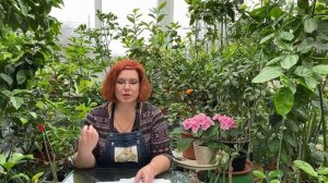 Об удобрениях, ответы на вопросы, о корневой системе и д.р...