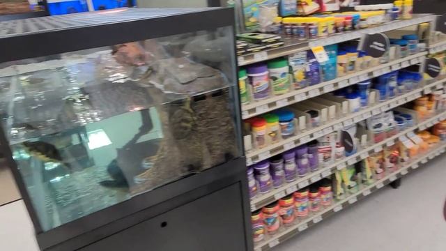 США Семейный ВЛОГ Готовим целый день WALMART и PETCO