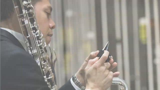 RMS Select Bass Clarinets смотреть онлайн