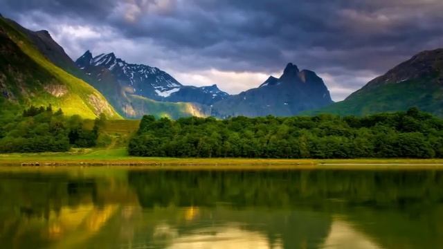 Вы не человек [Роберт Адамс] смотреть онлайн