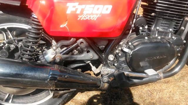 1982 Honda FT500 ASCOT смотреть онлайн