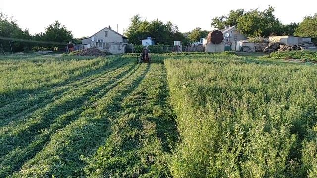 Сенокос! смотреть онлайн