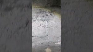 хонда стрим не включается вентилятор охлаждения