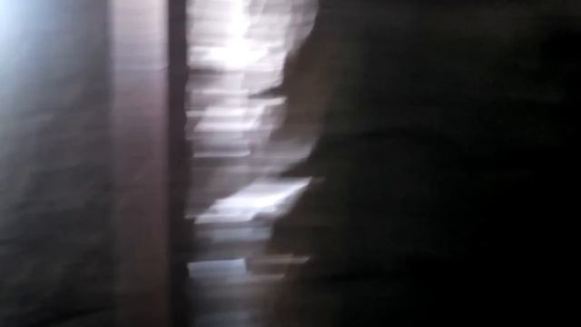 Видео из совхоза имени ленина,в парке "у лукоморья"(4) смотреть онлайн