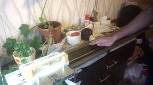 Вязальная машина Ладога-1