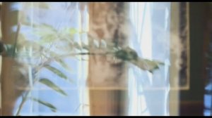 СВЯТЫЕ. Забытый праведник Александр Свирский. реж. А. Куприн