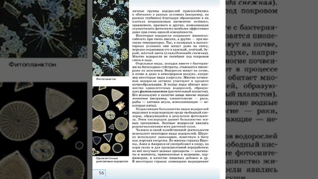 Биология 7к СТР-49 Низшие растения - Водоросли смотреть онлайн