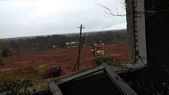 Абхазия 2019 в январе зимой, путешествие в зимнюю Абхазию, сезон мандаринов смотреть онлайн