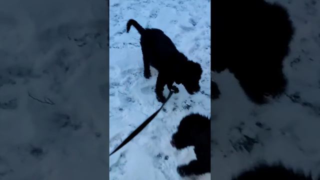 Мама и дочи