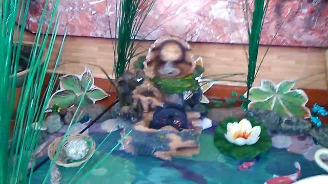 Уголок природы в детском саду смотреть онлайн