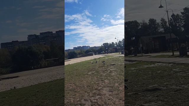 озеро Сенеж 17 сентября 2022 смотреть онлайн