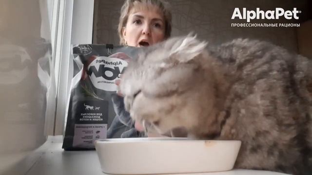 Отзывы AlphaPet | AlphaPet WOW SuperPremium C индейкой и потрошками