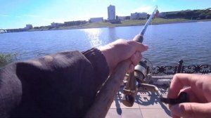 ЛОВЛЯ КАРАСЯ НА ЛОЖКУ, УБОЙНАЯ СНАСТЬ НА КАРАСЯ. КАРАСЬ НА ВОЗДУШНОЕ ТЕСТО ..