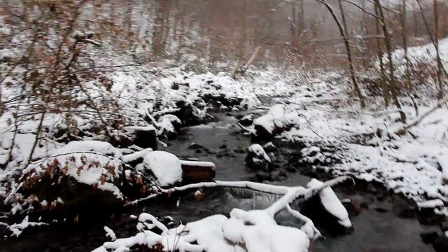 Прогулка к зимнему ручью. Кормушка для диких животных! смотреть онлайн