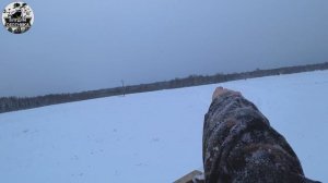 Охота на ЛОСЯ! Добыл ЛОСЯ? в первом загоне!? Удачная ОХОТА на ЛОСЯ!