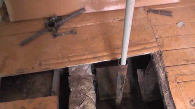 Абиссинка. Открытие сезона 2022 смотреть онлайн