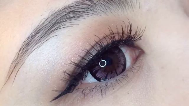 Flora Gerbera Pink | HoneyColor смотреть онлайн