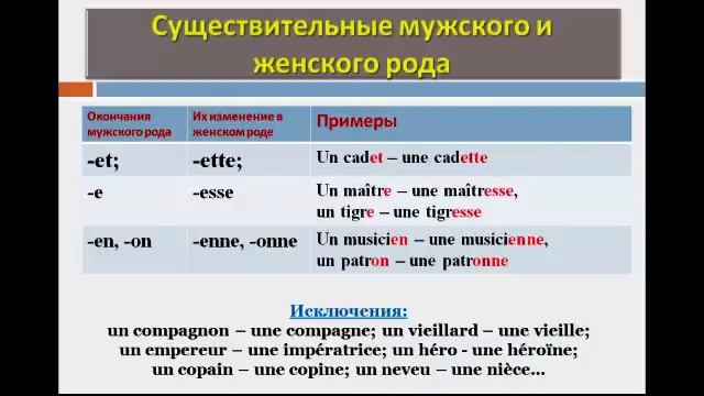 Уроки французского #29: Род и число существительного смотреть онлайн