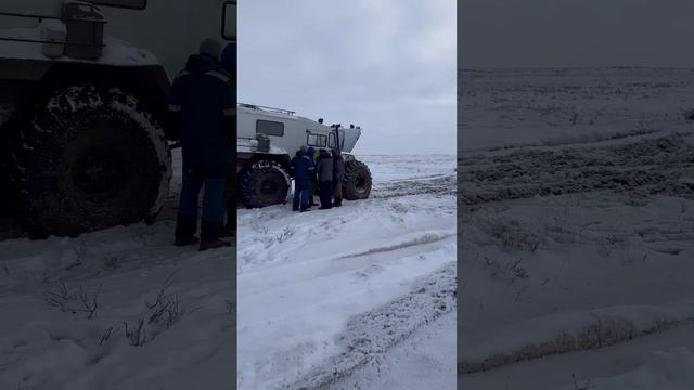 Трэкол-мощь или 15часовая поездка по тундре смотреть онлайн