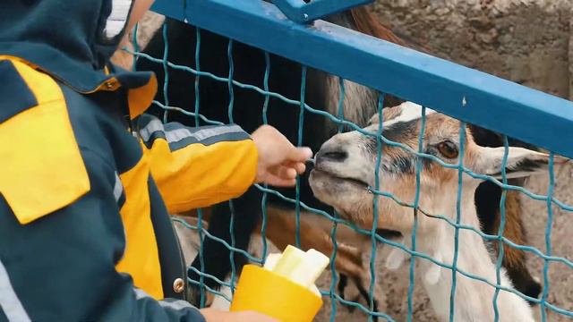 Менский Зоопарк. День Рождение Криса смотреть онлайн