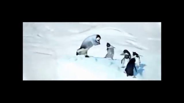 Happy feet - Happy (Pharrell Williams) смотреть онлайн