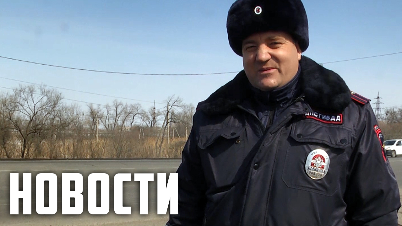 Цветы для автоледи смотреть онлайн