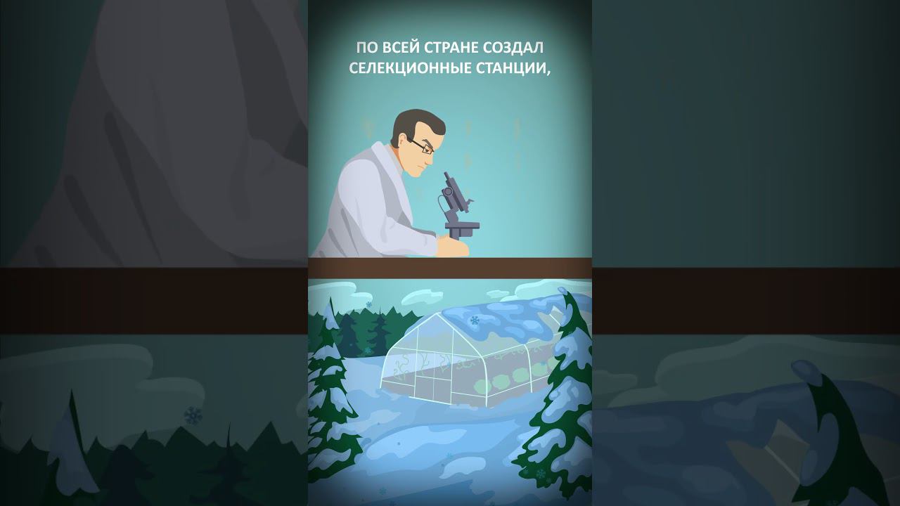 Как русский генетик придумал, как накормить весь мир - Николай Вавилов #СССР #наука #история смотреть онлайн