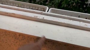 Защита от дождя для балкона