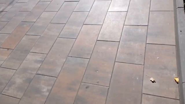 Kugoo S-3 - Прерванный полёт .Сломалось крыло!