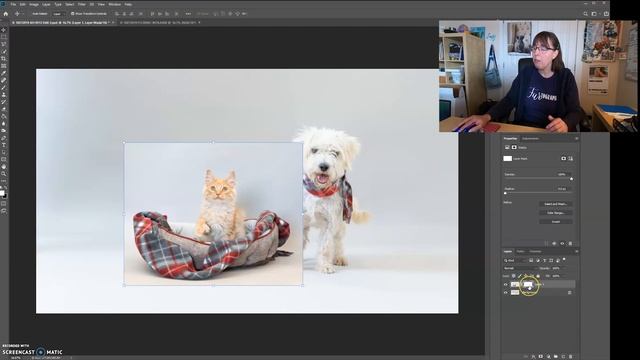 Combine Photos In Photoshop | Dog And Cat Together смотреть онлайн