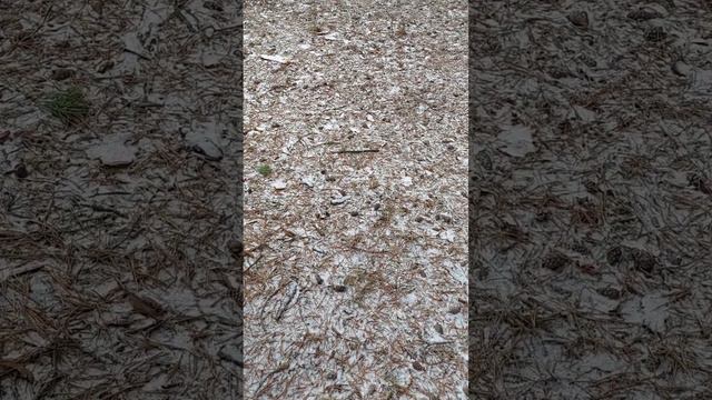 Поездка по Беларуси. Красота реки Случь. смотреть онлайн
