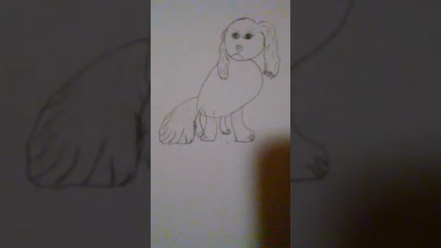 How to draw a Cocker Spaniel part 2 смотреть онлайн