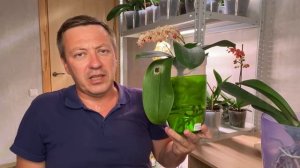 КОРНИ ОРХИДЕИ 2 ГОДА БЕЗ ГРУНТА конец ЭКСПЕРИМЕНТА и орхидея кувшинка в воде