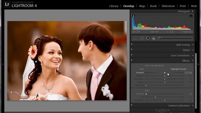 Lightroom. Тонирование фотографий. (Евгений Карташов, Фото-Монстр) смотреть онлайн