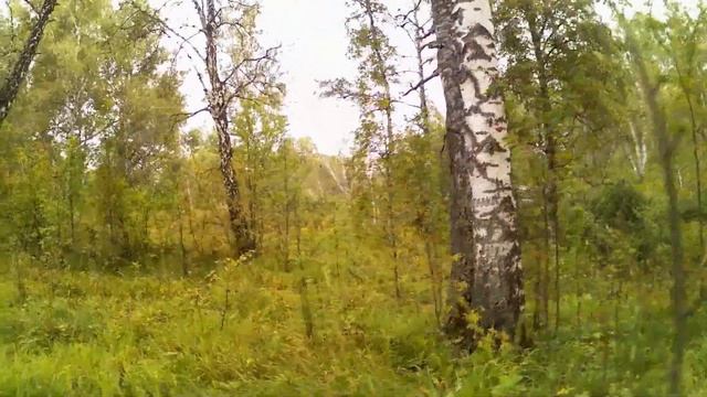 Философия рыбалки (часть 2) смотреть онлайн