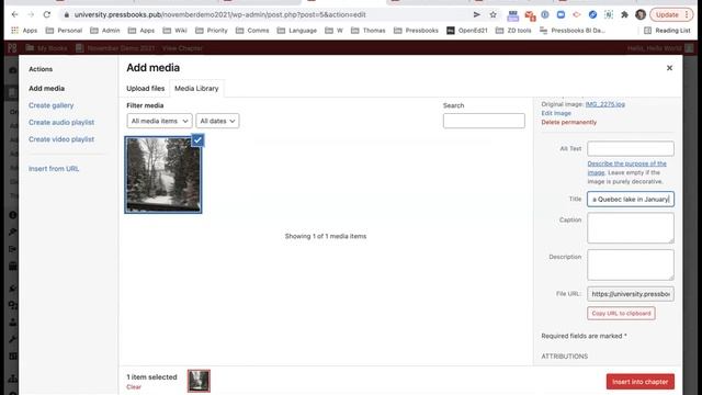 Getting Started with Pressbooks смотреть онлайн