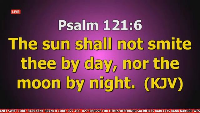 WELCOME TO OUR ONLINE SECOND SERVICE - DR ORACLE смотреть онлайн