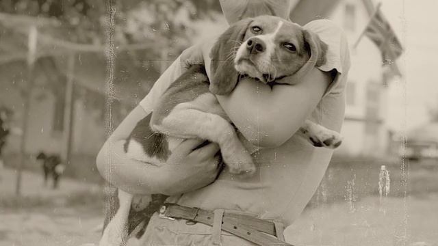 Шокирующие Мутанты Чернобыля Снятые На Камеру смотреть онлайн