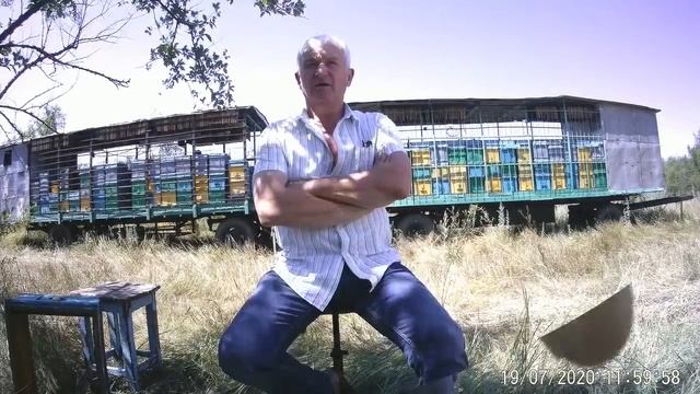 Заработок на пчёлах.Можно ли жить от пчеловодства.Доход от пчел. смотреть онлайн