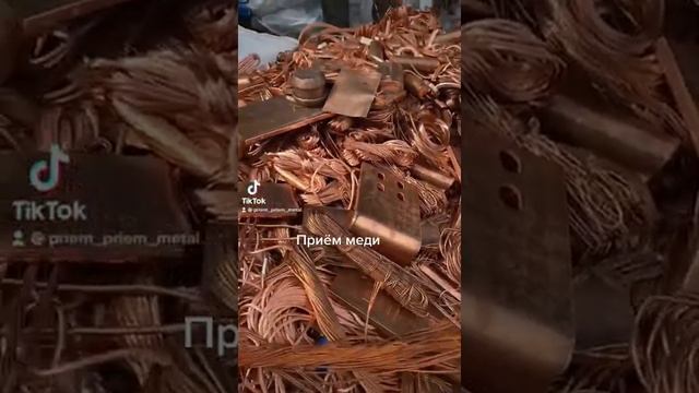 Медь приём Спб смотреть онлайн
