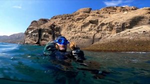 Черноморские устрицы. Где живут? Как найти? С чем съесть?