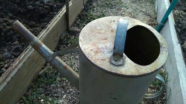 Как правильно посеять лук-севок смотреть онлайн