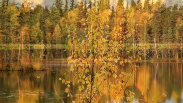 "ДНИ ВСЁ КОРОЧЕ, НОЧИ ДЛИННЕЕ".. (Фото Александра Соснина (Архангельск), музыка Абеля Корженёвского смотреть онлайн